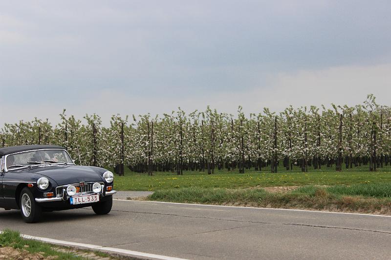 Follow the leader op 13-4-2014 org. Jos & Marie-lou (44).JPG